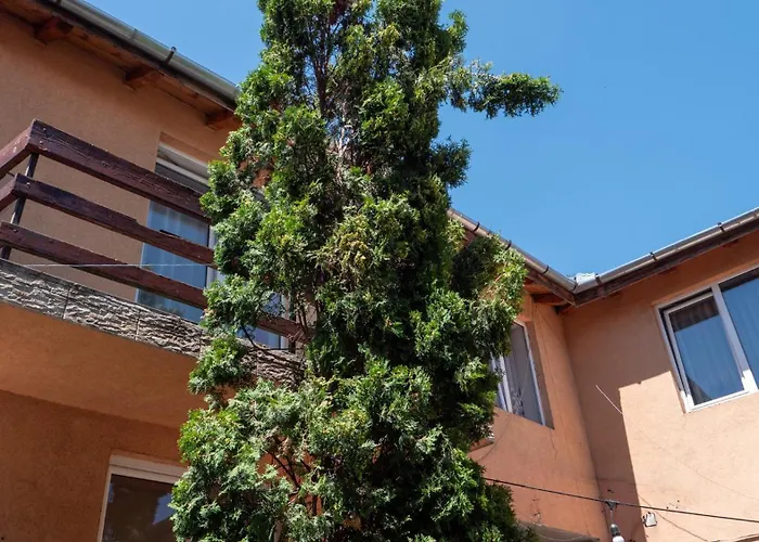 Guest House Andrei Cluj-Napoca